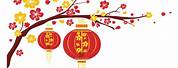 Happy Chinese New Year White Background