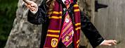 Harry Potter Book Character Costumes