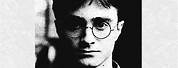 Harry Potter Wanted Poster Black and White