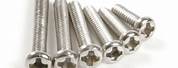 High Quality Stainless Steel Screws