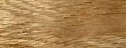 High Resolution Oak Wood Texture