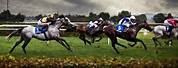 Horse Racing HD Images