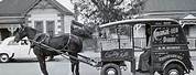 Horse and Cart Melbourne
