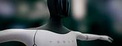 Humanoid Robot Tesla Copy