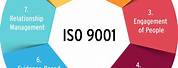 ISO 9001 Quality Management System Software