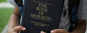 Image Asian Child Reading Book of Mormon