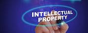 Intellectual Property IP Protection