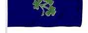 Irish Cricket Union Flag
