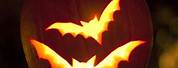 Jack O Lantern Pumpkin Carving Bat