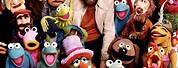 Jim Henson Muppets