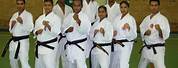 Karate Family South Africa