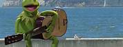 Kermit the Frog Fishing in a Boat Cartoon