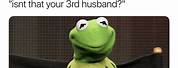 Kermit the Frog Memes Clean
