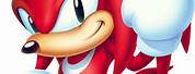 Knuckles Sonic Profile Pic