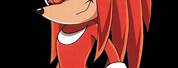 Knuckles the Echidna Sonic Heroes