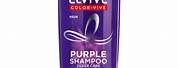 L'Oreal Purple Shampoo