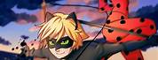 Lady Bug Wallpaper and Cat Noir