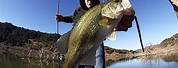 Lake Sonoma Bass Fishing