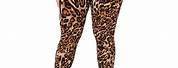 Leopard Print Leggings for Women