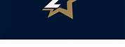 Letter Z Star Logo Design