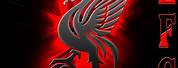 Liverpool FC Fan Art