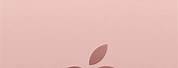 Logo Apple 3D Rose Gold