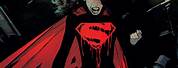 Lois Lane Death of Superman