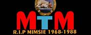 MTM Mimsie The Cat Died
