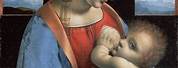 Madonna and Child Leonardo Da Vinci