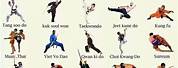 Martial Arts Styles From Northern China