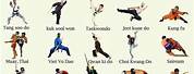 Martial Arts Types List