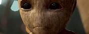 Marvel Studios Guardians of the Galaxy Groot