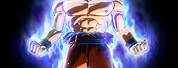 Mastered Ultra Instinct Goku Dbfz