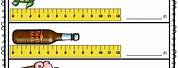 Measuring Length Worksheets Grade 2 Cm