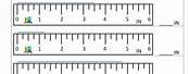 Measuring in Inches Worksheet Fourth Grade