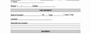 Mental Health Incident Report Template