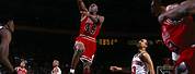 Michael Jordan Number 45 Statue