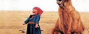 Mongolian Child Laughing with Camel