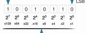 Most Significant Bit in Binary Numbers