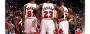 NBA Chicago Bulls Legends