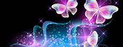 Neon Butterfly Desktop Wallpaper