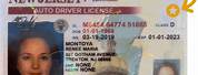 New Jersey Real ID Drivers License