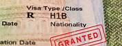New U.S. Visa Image H1B