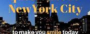 New York City Quotes Funny