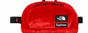 North Face Red Fur Fanny Pack