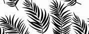 Palm Tree Leaf Texture Drawing