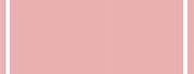 Pantone Color Powder Pink
