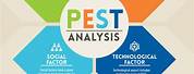 Pest Risk Analysis Chart