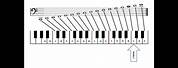 Piano Bass Clef Notes with Finger Positioning