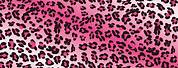 Pink Cheetah Print Wallpaper Free Download